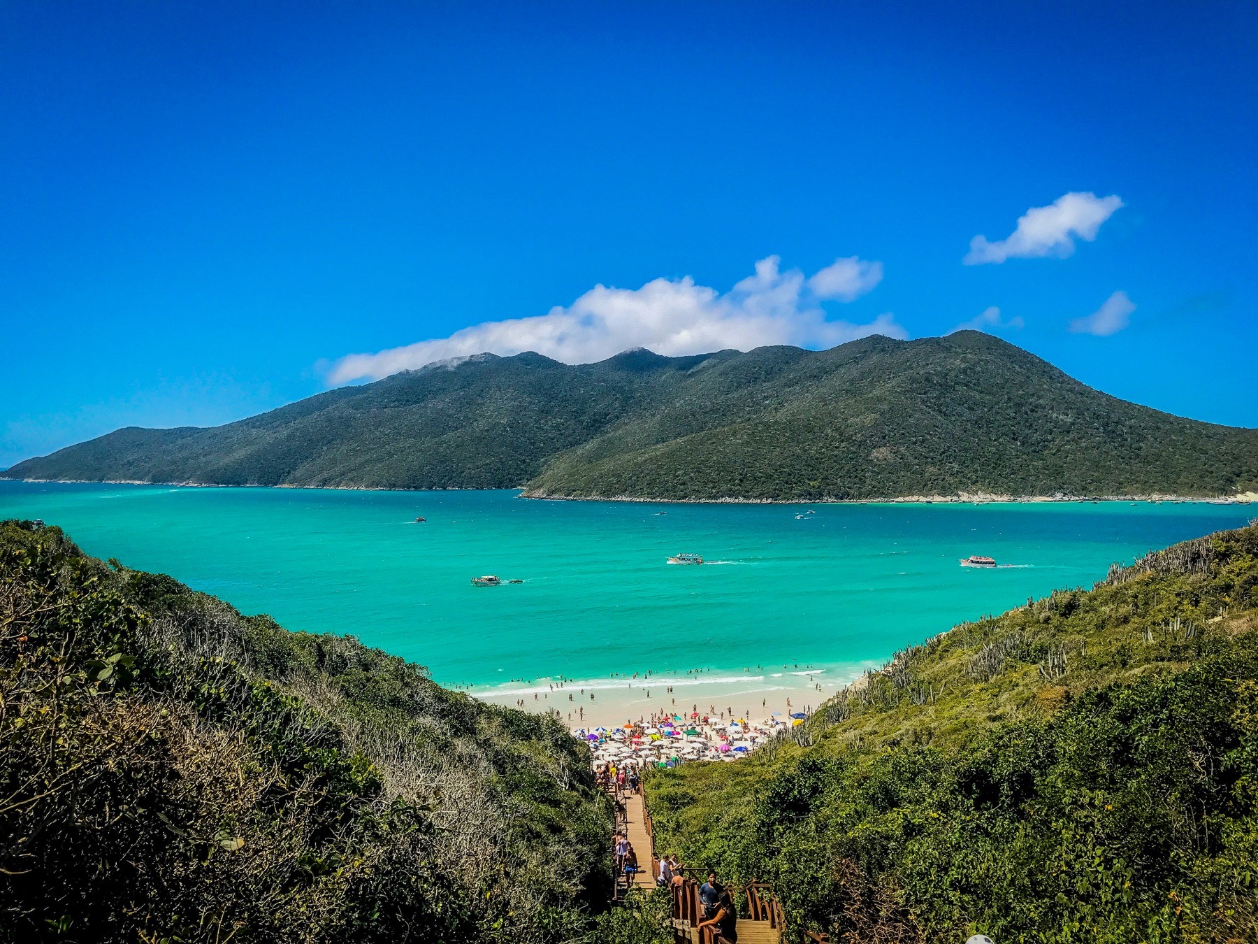 Brazil, Day 5: Bahia Taught Us. Rio Awaits.