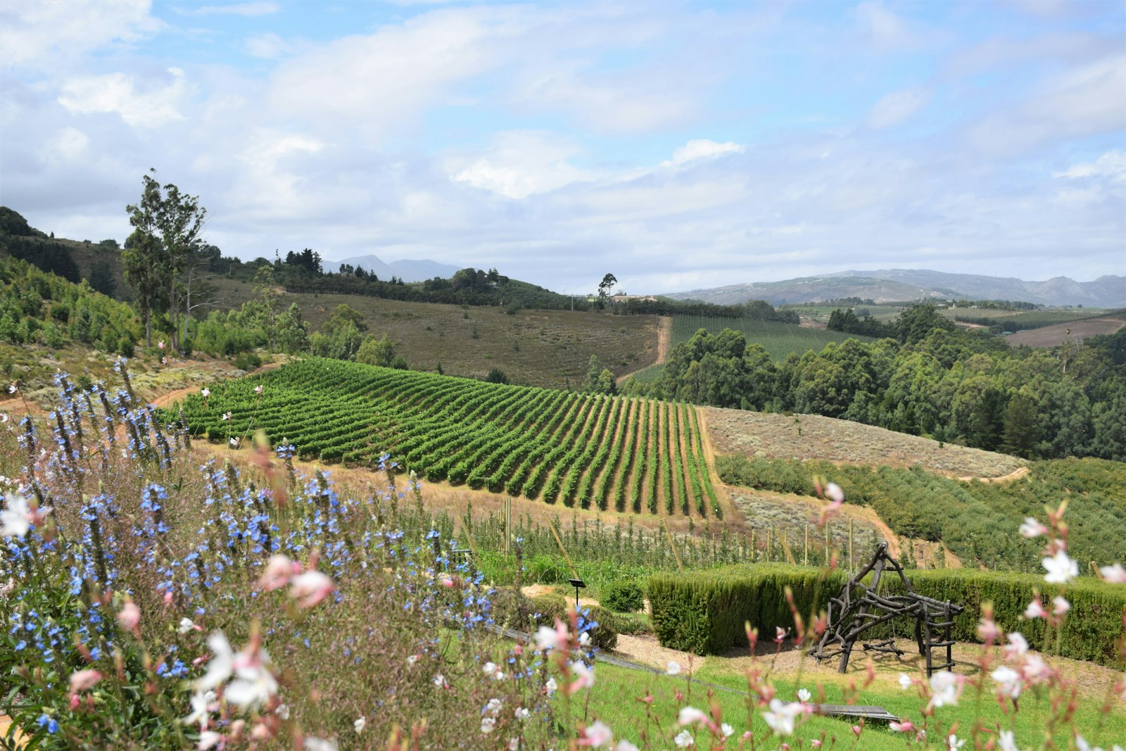 South Africa, Day 5: Sip, Savor + Celebrate